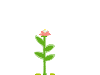 A plant's life