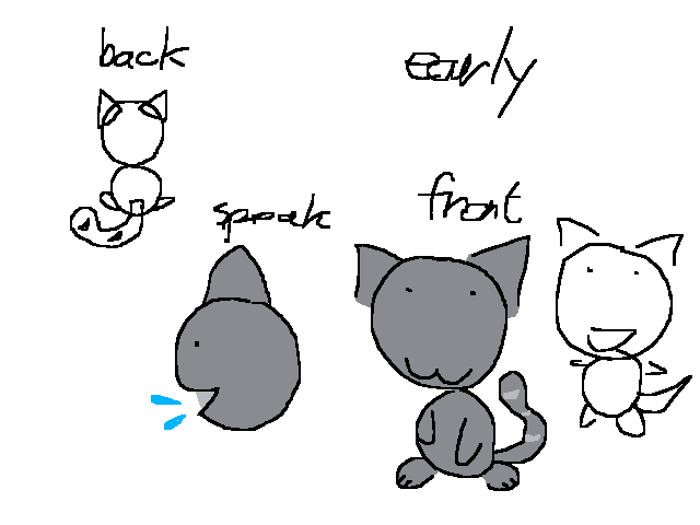 a cat