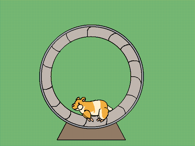 Hamster on a hamster wheel