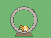 Hamster on a hamster wheel