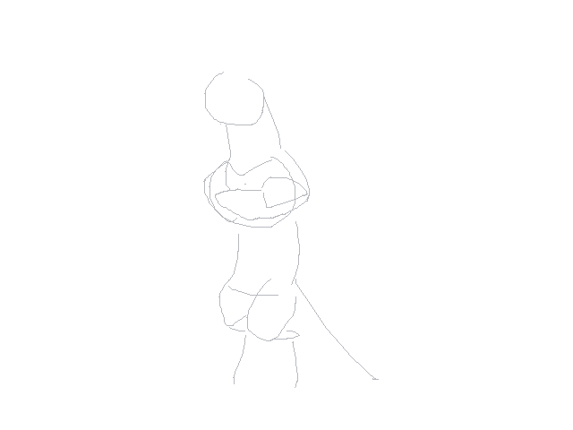 Wip