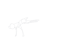 Hind kick