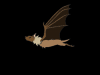 Flying bat