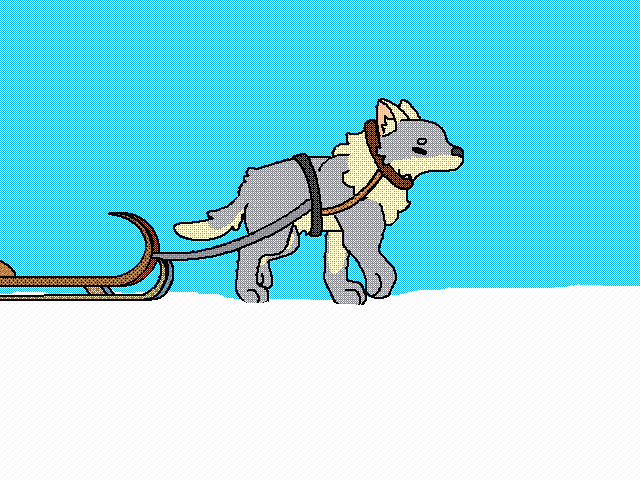 Sled dog