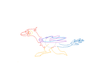 Raptor run