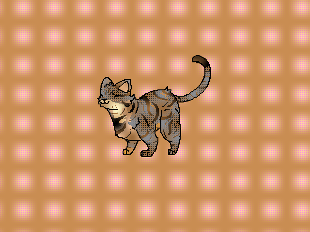 Dancin kitty
