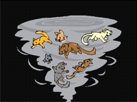 CAT-NADO