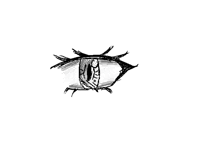 Blink