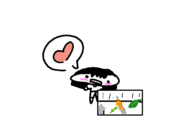 I got a lizard for my birthday!!!(yaaaaaaaasss)