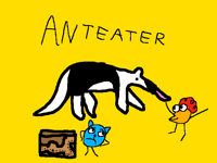 anteater(contest)