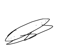 crazy (test3)