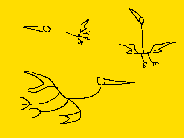 the Birds of paradise
