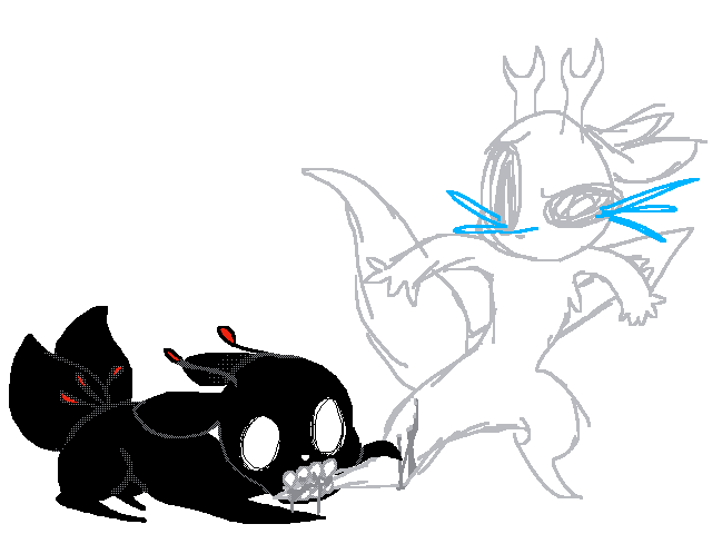 Bord