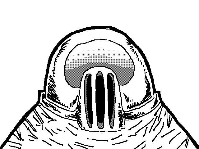 visor