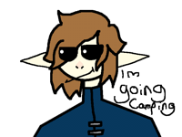 Im going camping