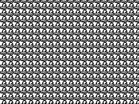 Find a dog head