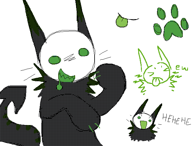 what kind of cat is this