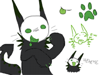 what kind of cat is this