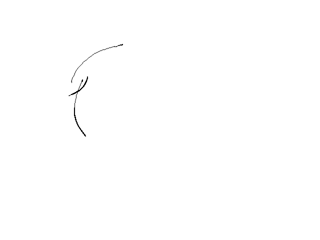 Wind Animation Test