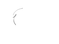 Wind Animation Test