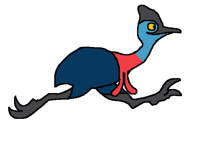 Cassowary