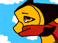 Robin :3