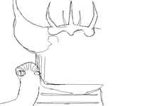 Guess what Im drawing whilst I finish the drawing