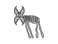 Petah, the horse is here