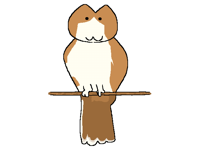 Meowl