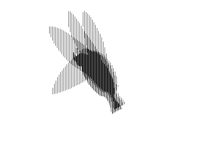 Scanimation
