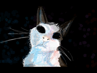 cool cat who’s owner i wont reveal