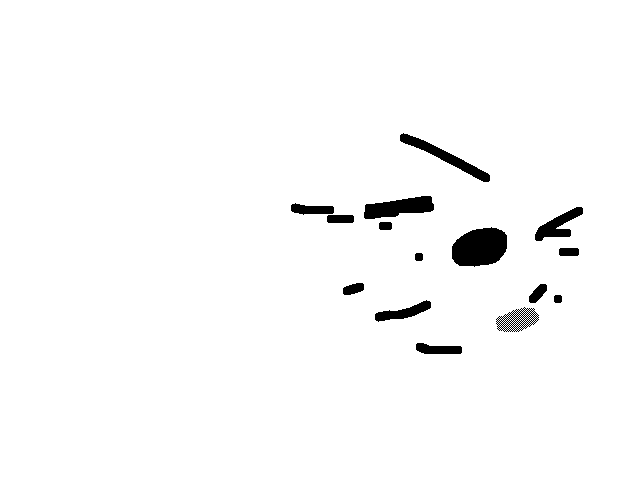 test I