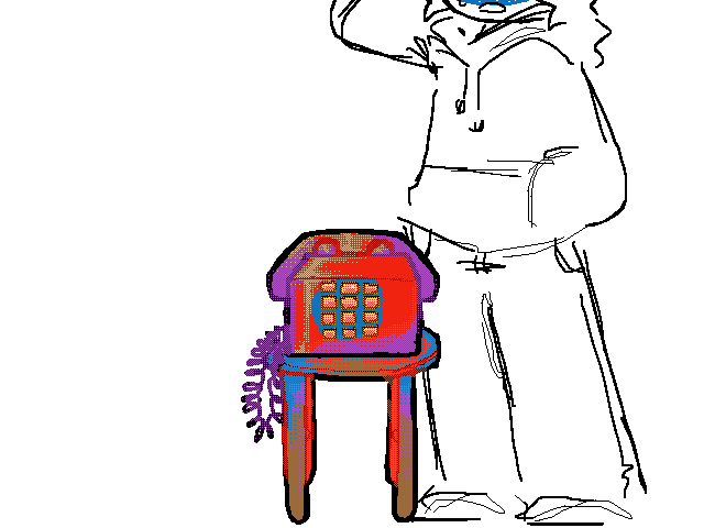 The budget went to the phone
