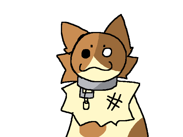 Test lol