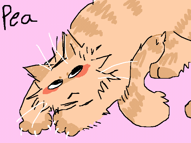Pea