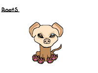 My dog boots
