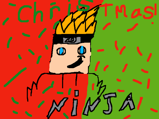 NINJA picture
