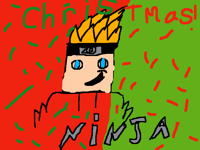 NINJA picture