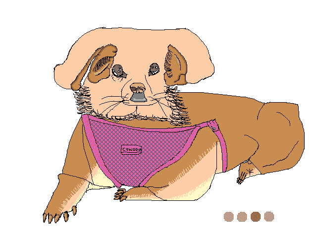 My dog updates