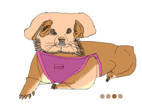 My dog updates