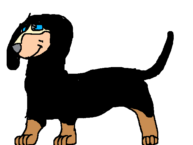 Dog