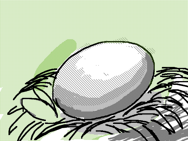 新的生命(the new life)