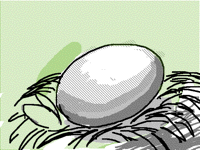 新的生命(the new life)