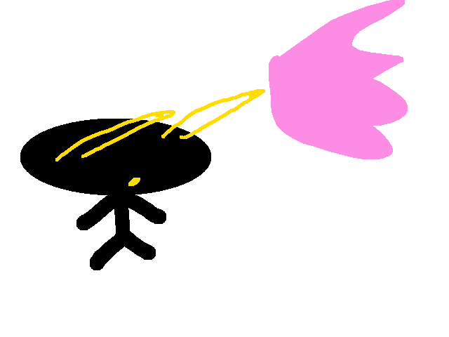 Where are all my tally hall fans