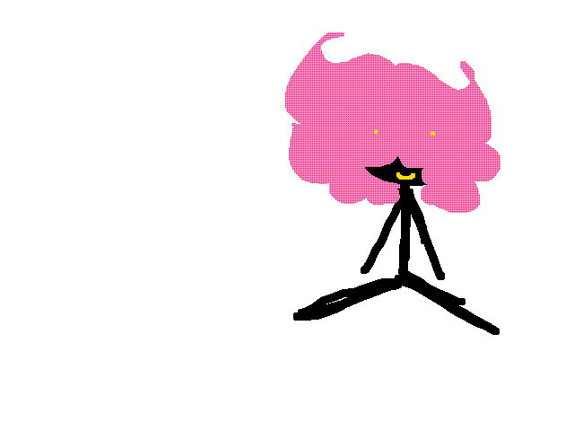 HAPPY BIRTHDAY, NOVA!