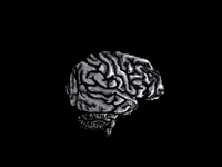 Brain spin