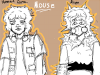 MOUSE