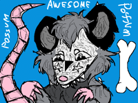 Awesome possum