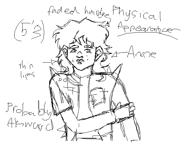 A Persona finally??