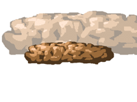 Dookie